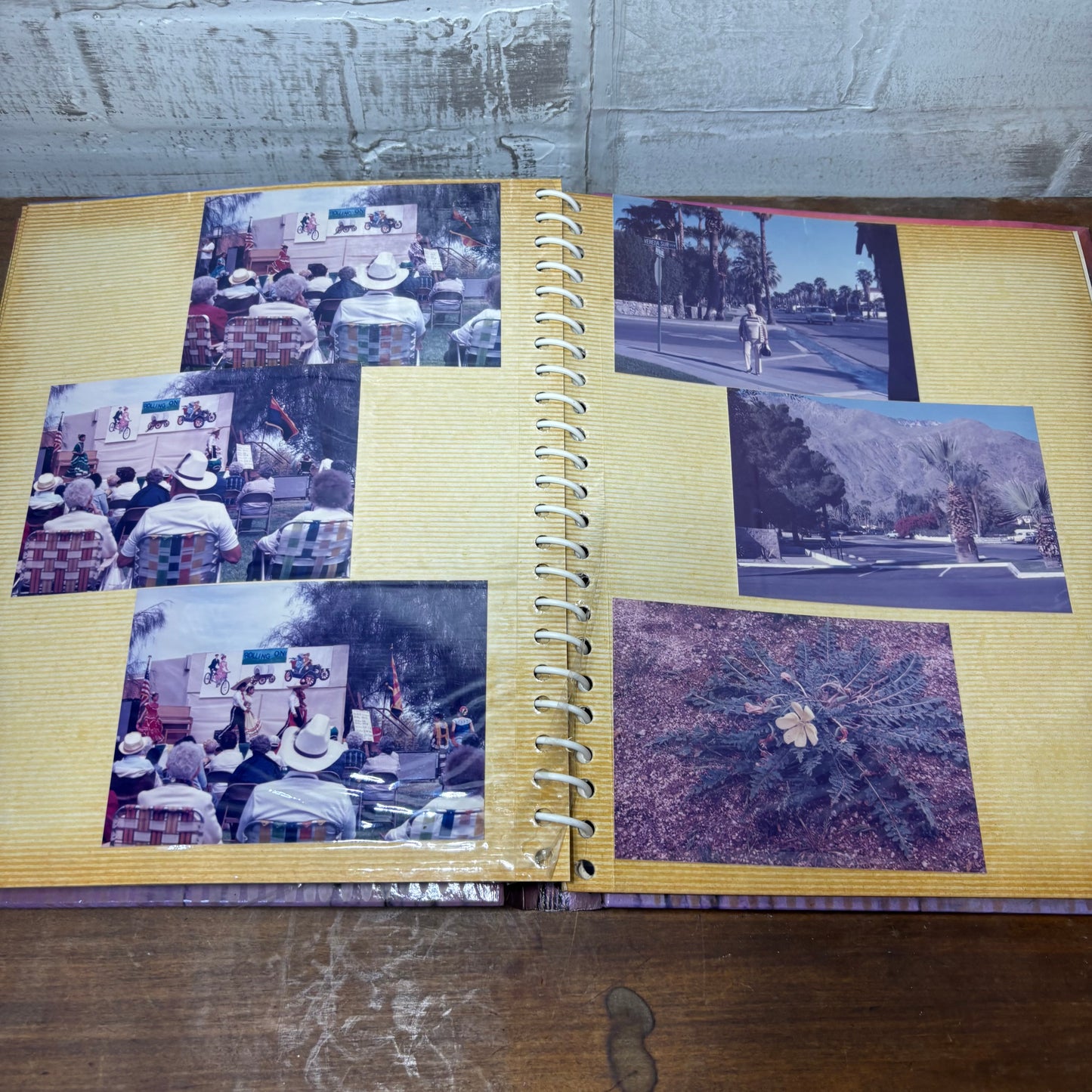 Vintage Sunset Marsh Photo Album