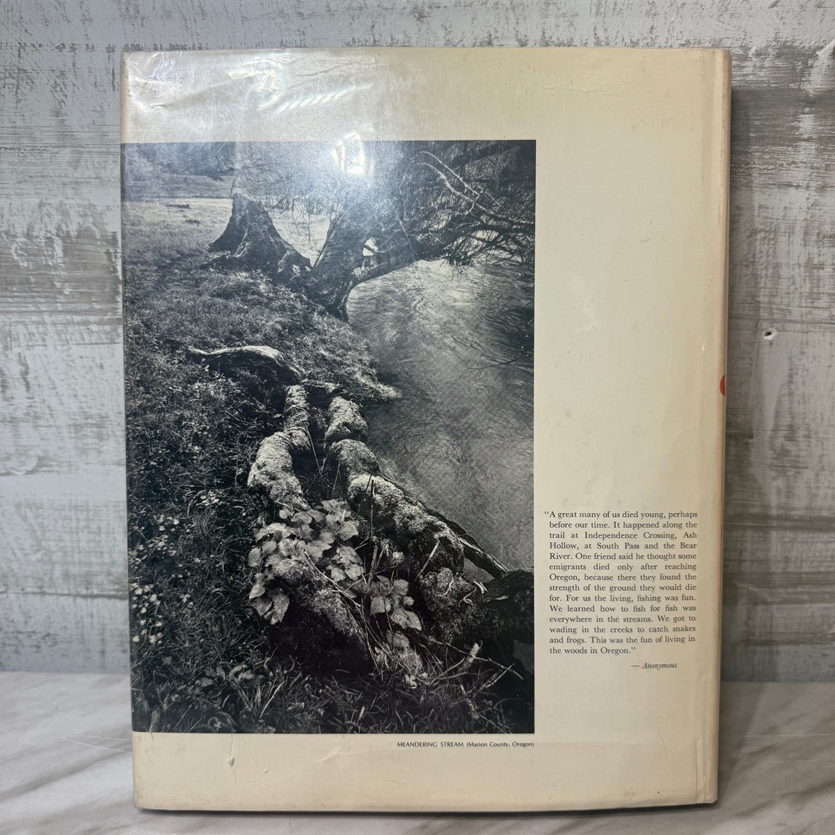 Back cover with dust jacket
