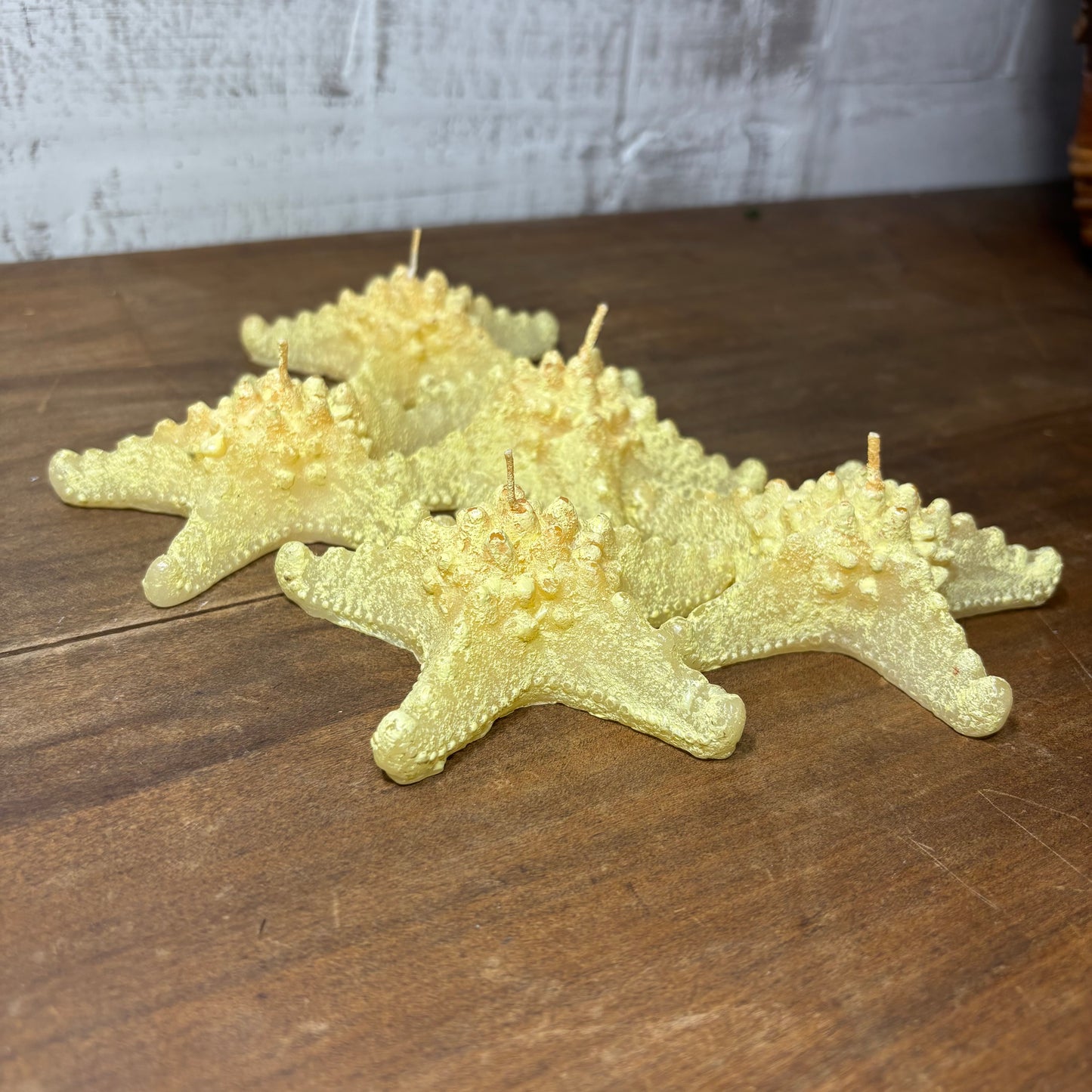 Nautical Knobby Horned Starfish Candles Set of 5