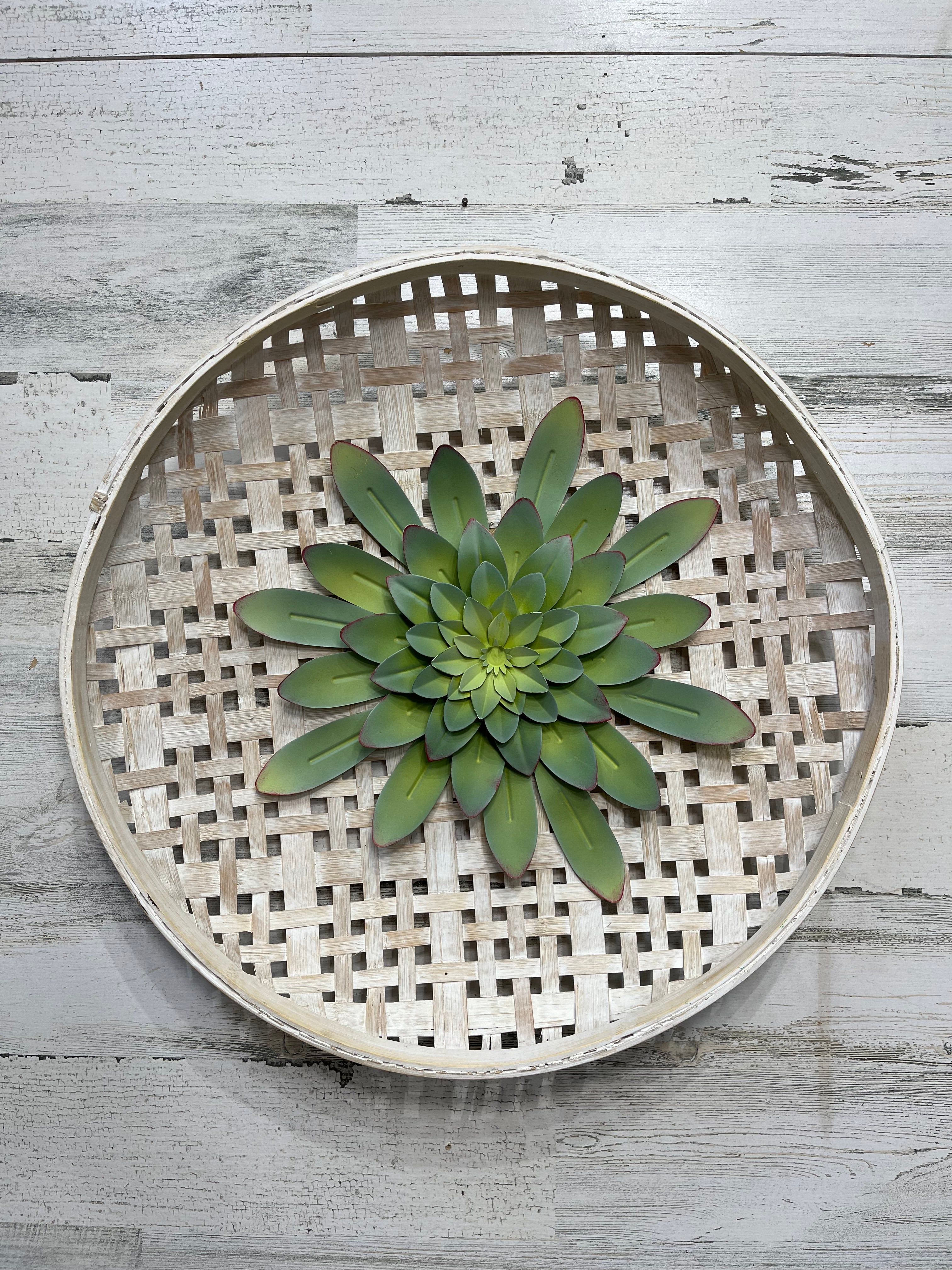 Metal Succulent Wall Decor – Post Furnishings