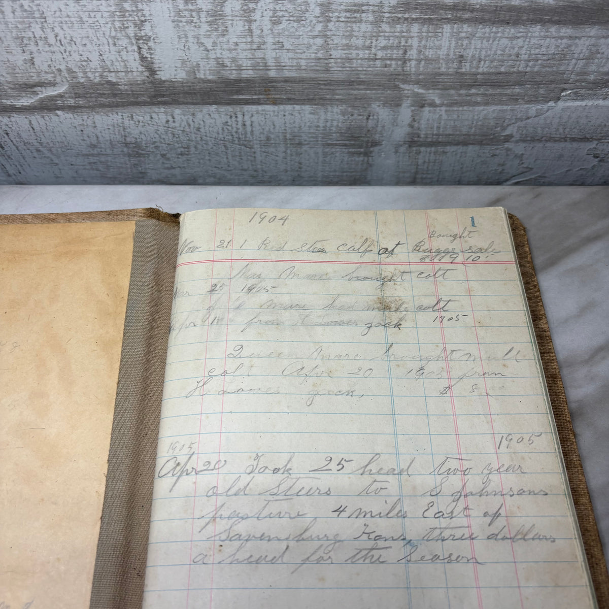 Antique Rare Daybook Ledger Records Sales
