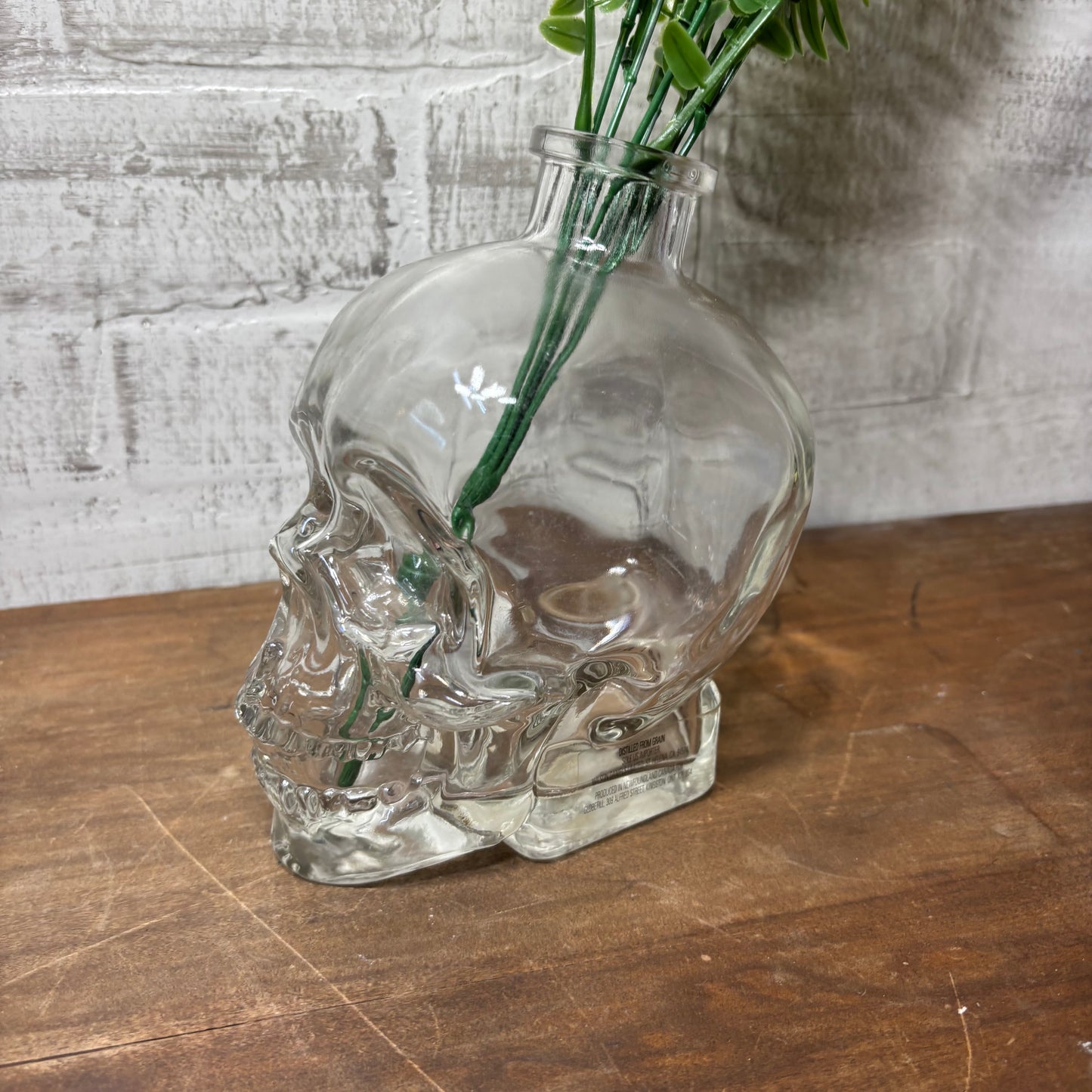 Clear Glass Skull Vase/ Decor