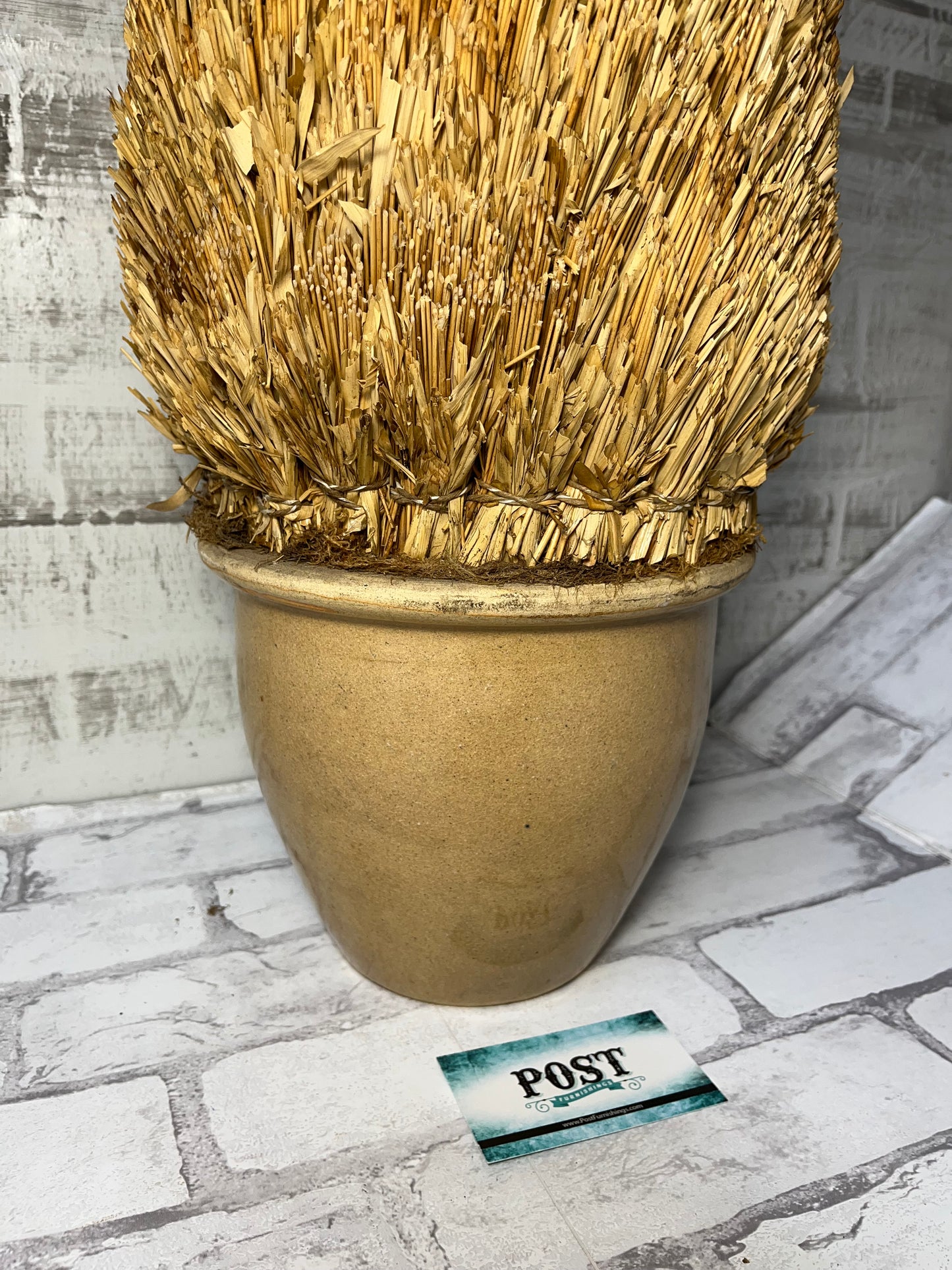 Straw Tree Shrub In Clay Planter