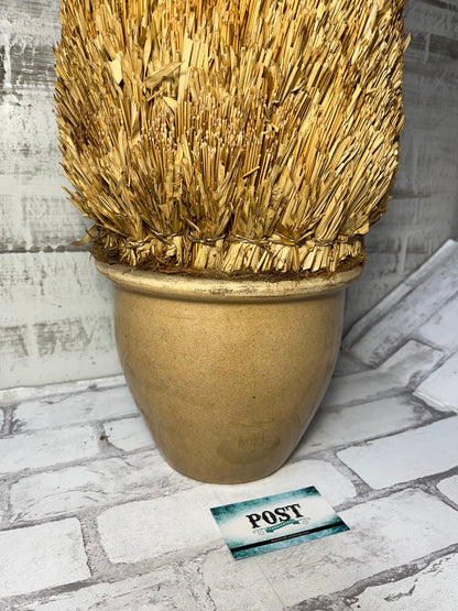 Straw Tree Shrub In Clay Planter