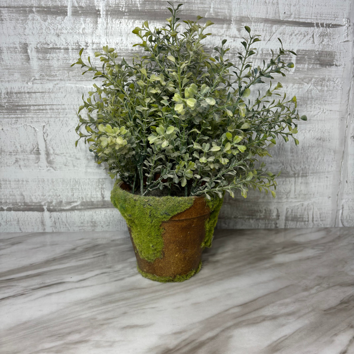 Faux Mossy Potted Greenery