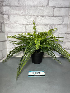 Faux Fern Plant