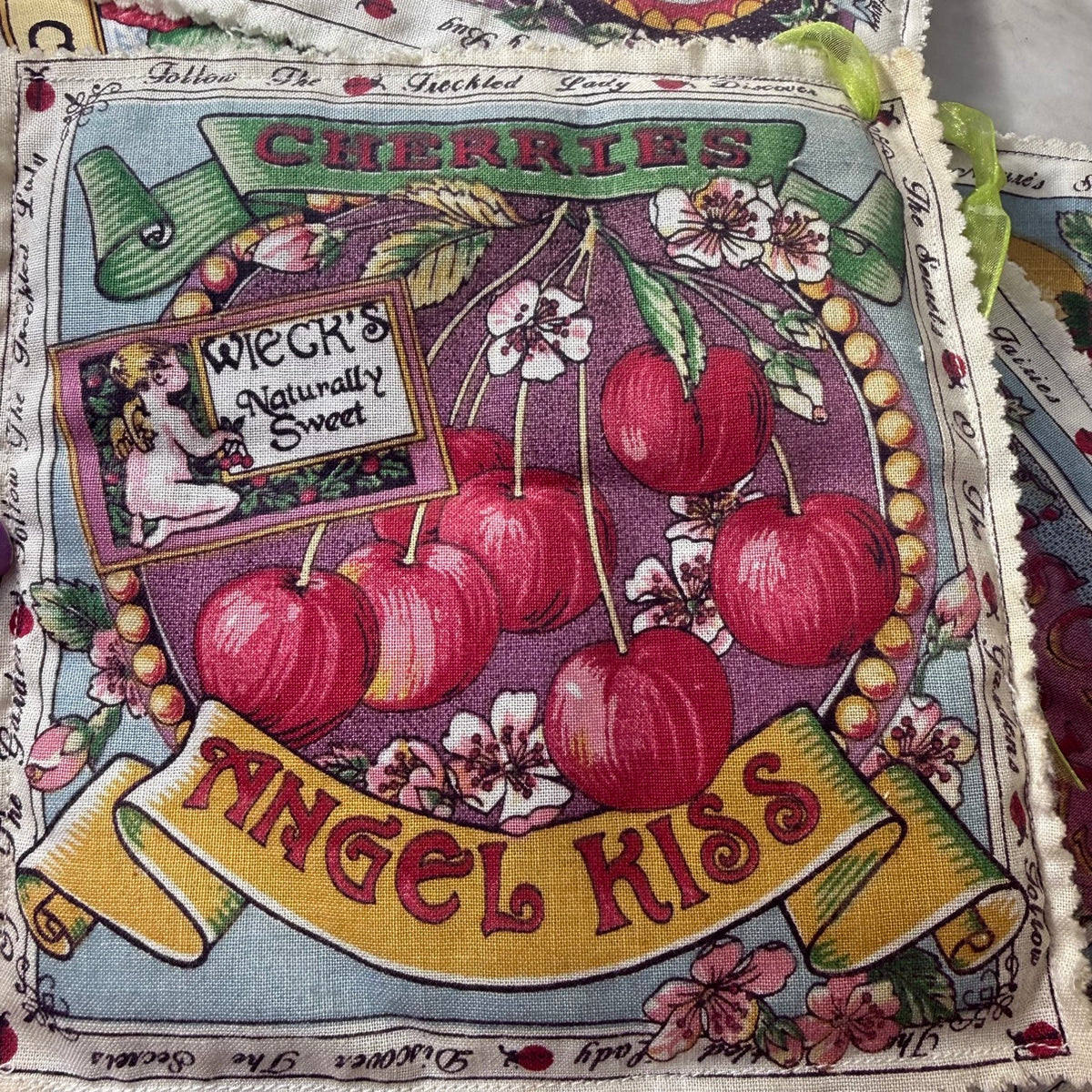 Strawberry Mountain print pot holder - slight stain visible at edge