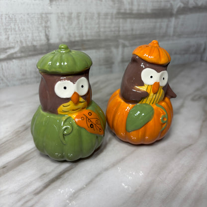 Owl In Pumpkin Salt & Pepper Shaker Set