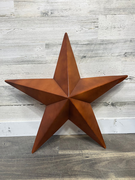 Rustic Metal Star