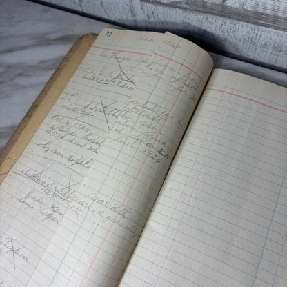 Antique Rare Daybook Ledger Records Sales