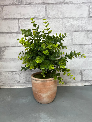 Faux Plant In Terracotta Pot