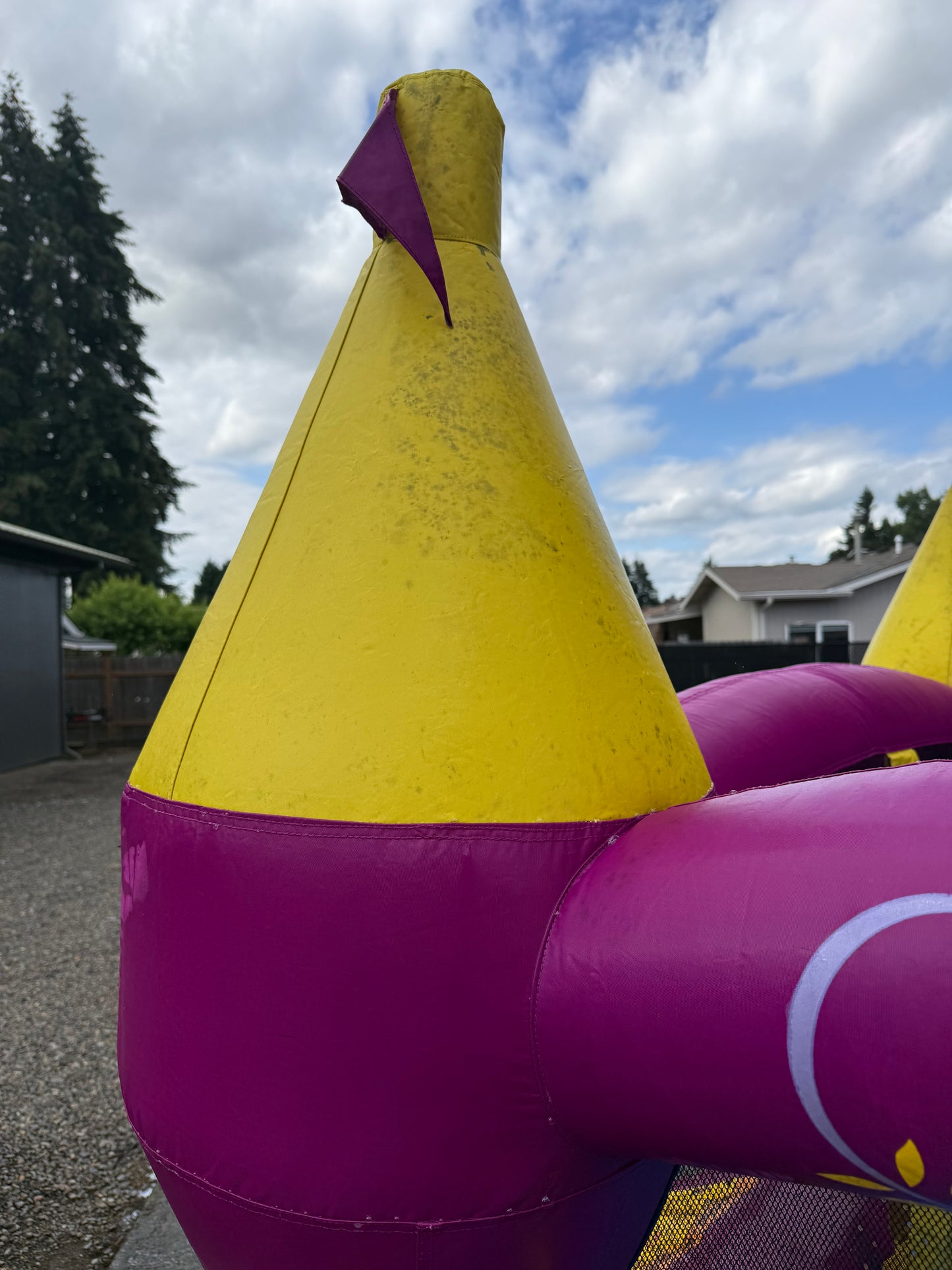 Disney Princess Bounce House