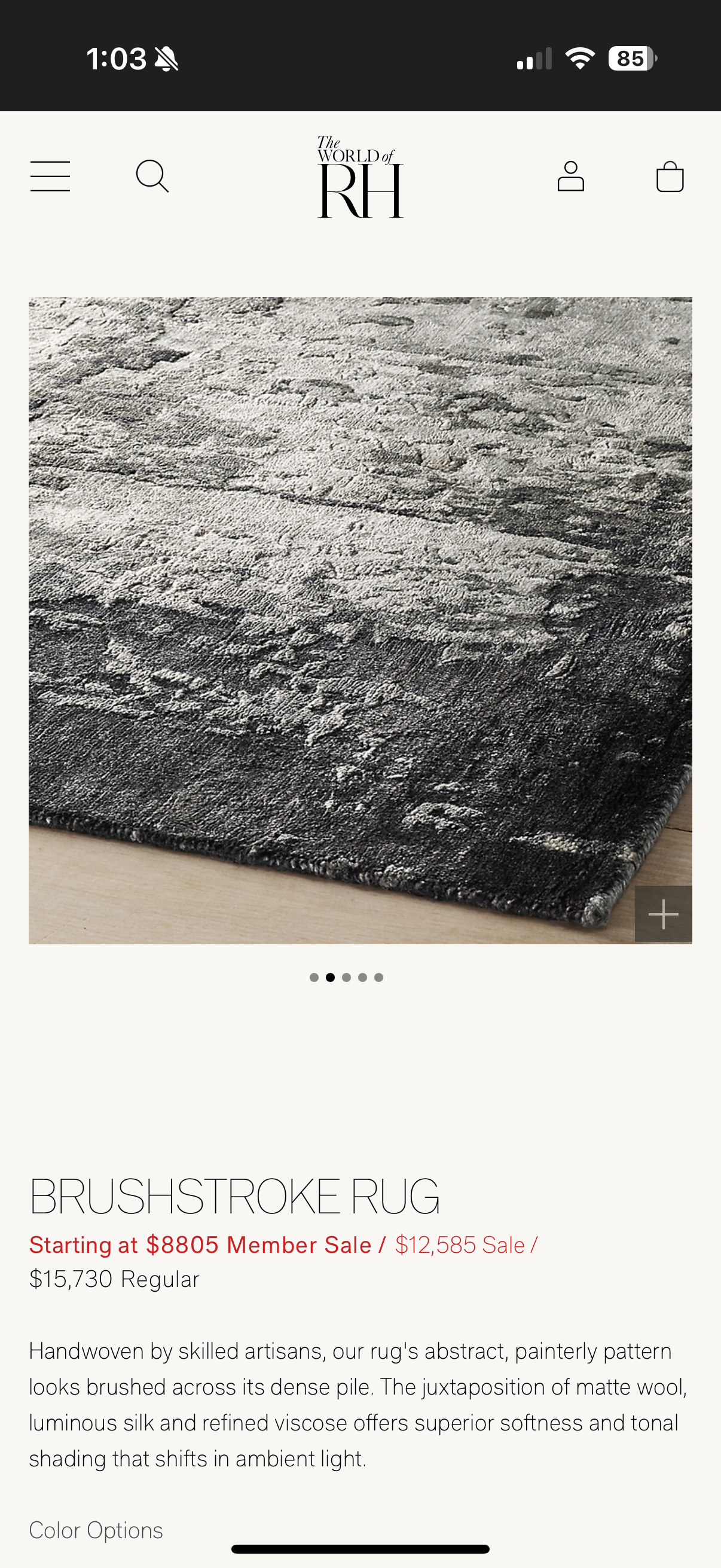 Restoration Hardware 10x14 Area Rug