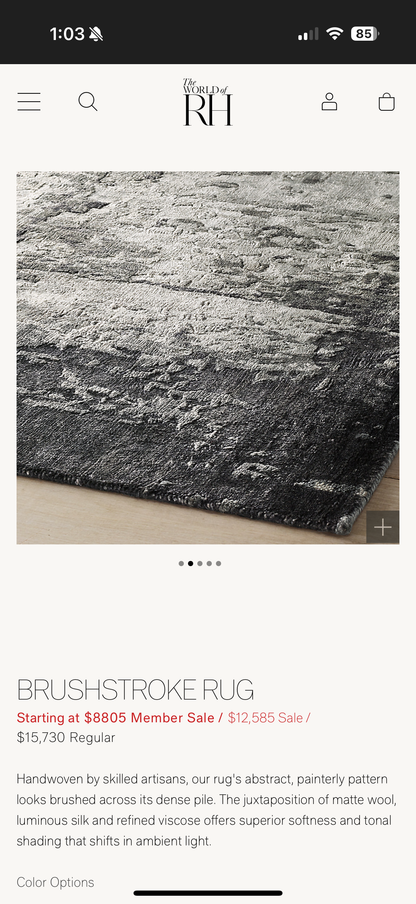 Restoration Hardware 10x14 Area Rug