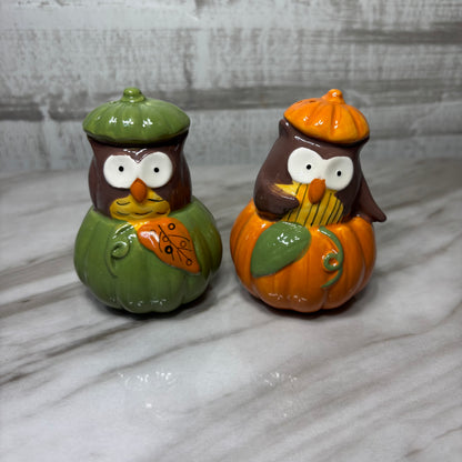 Owl In Pumpkin Salt & Pepper Shaker Set