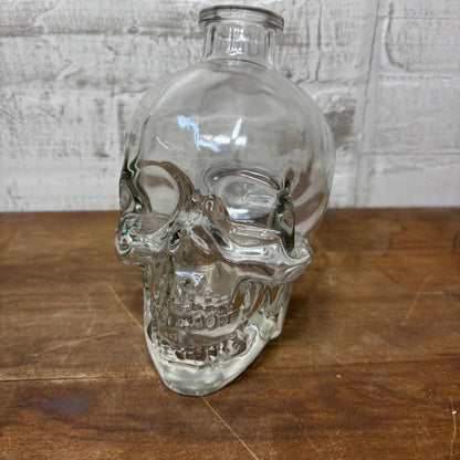 Clear Glass Skull Vase/ Decor