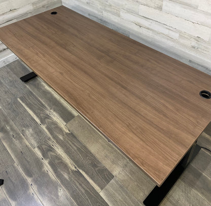 Professional Adjustable Desk Sit/Stand