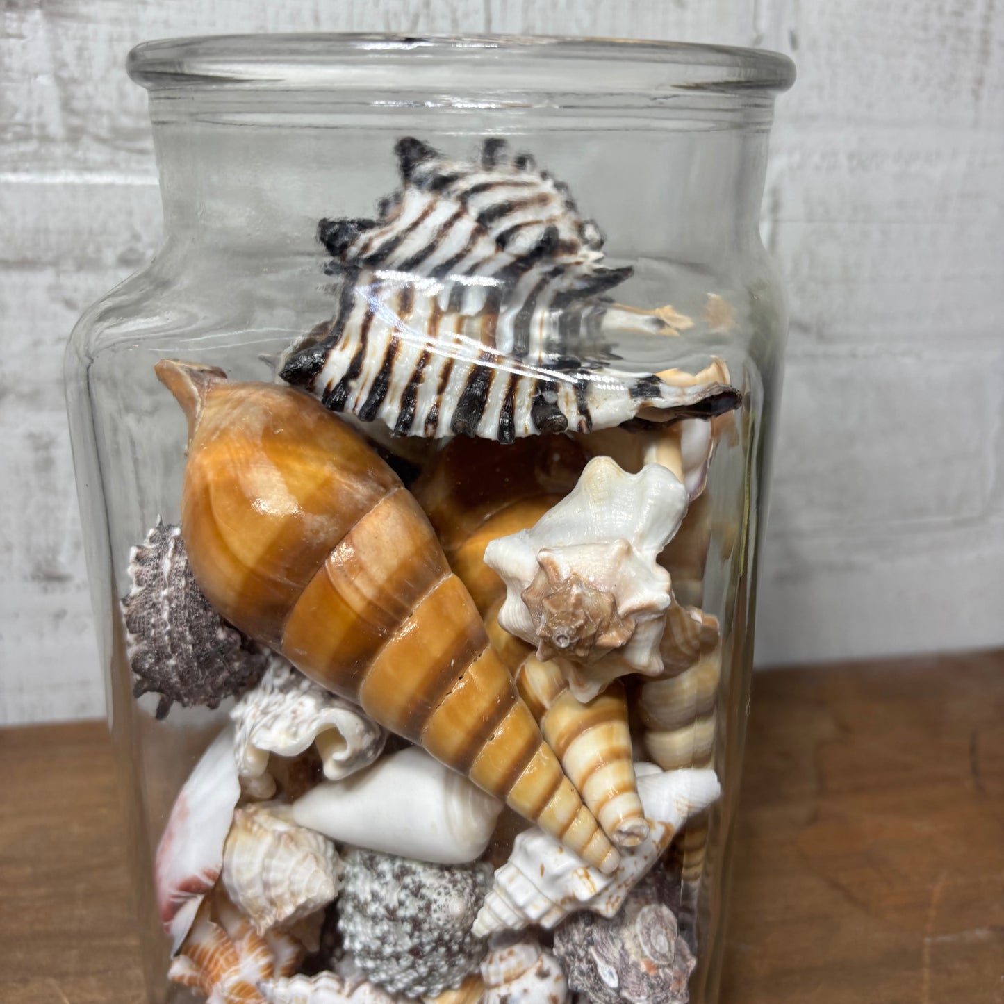 Glass Jar Full Of Seashells