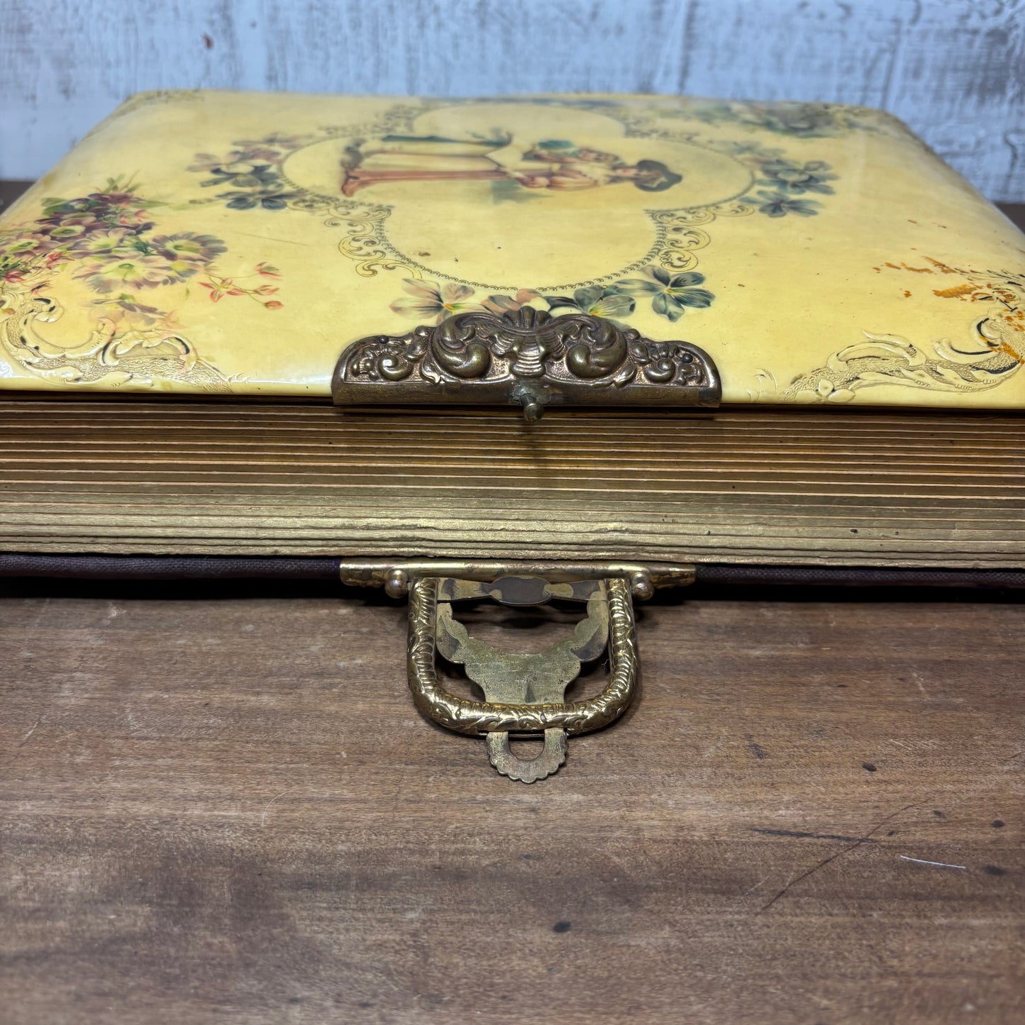 Antique Victorian Celluloid Photo Album