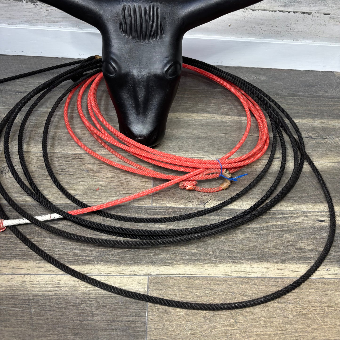 Steer Head Dummy Set W/ Rope