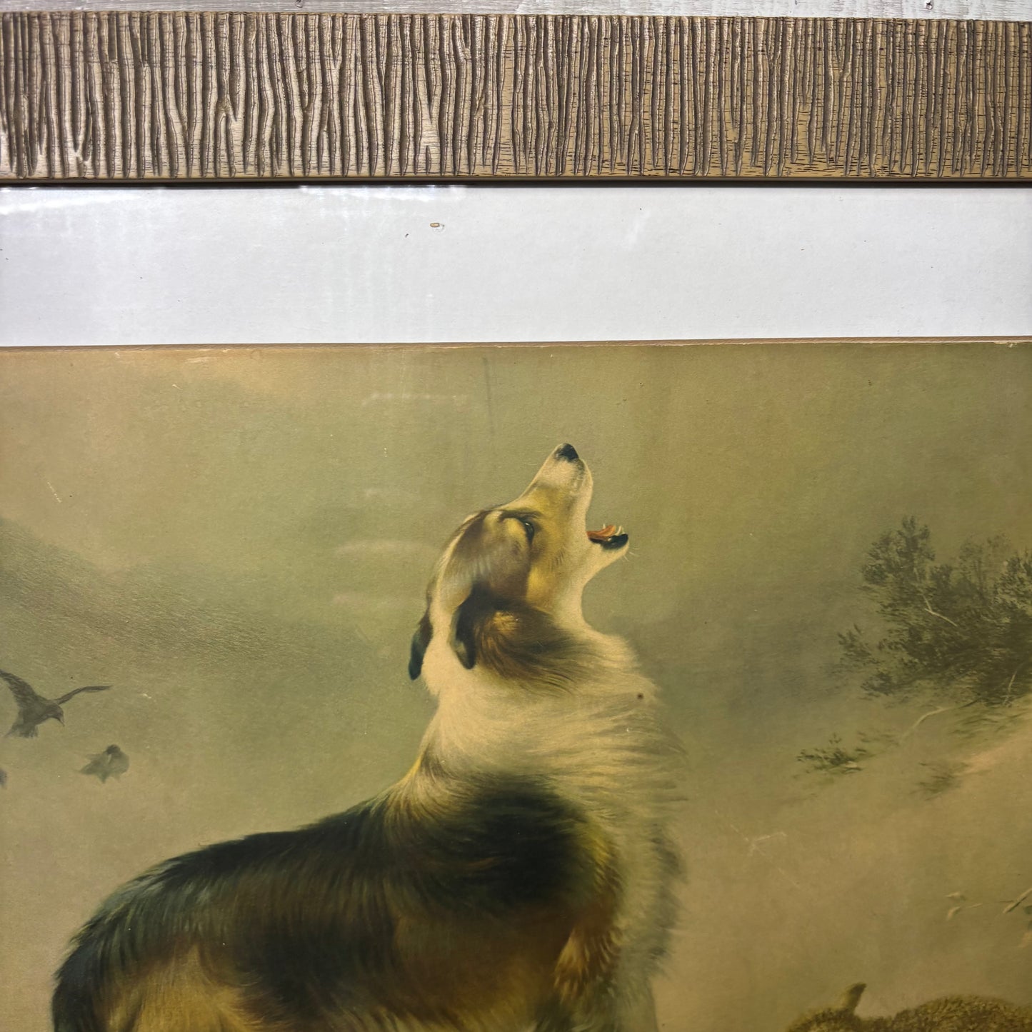 Mid Century Modem Unique Lassie Collie “Shepherds Call” Framed Art