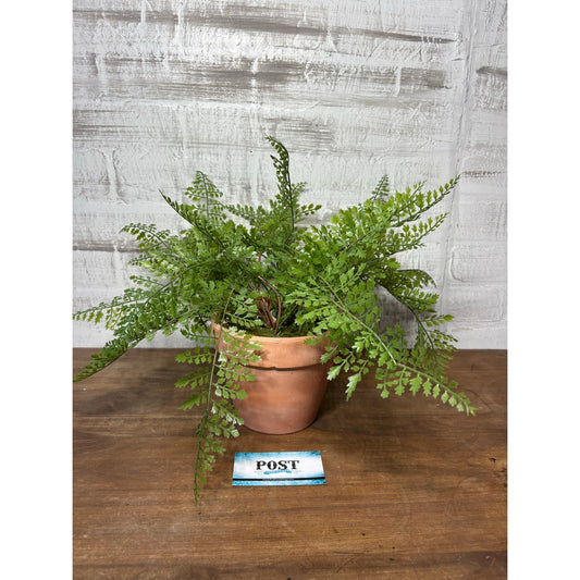 Faux Fern In Terracotta Pot