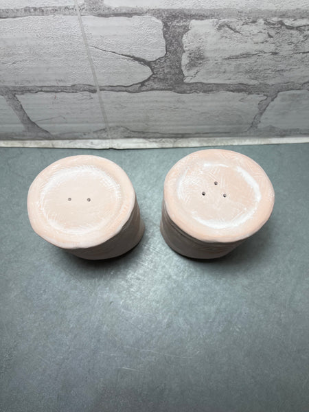 Salt & Pepper Ceramic Shakers