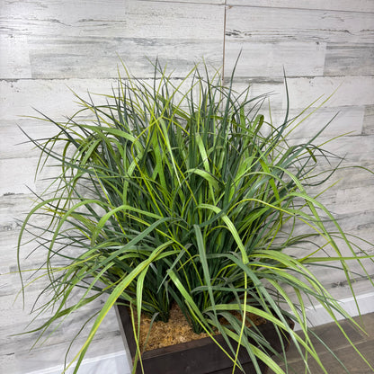 Large Faux Grass Potted Plant