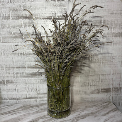 Dried Lavender Bunch In Vase