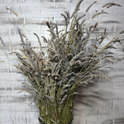 Dried Lavender Bunch In Vase