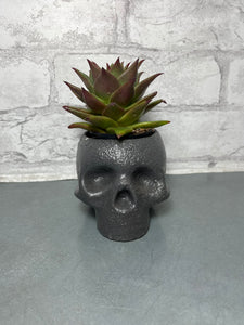 Live Succulent In A Skull Pot
