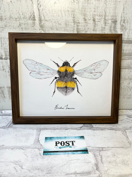 Bumblebee Framed Art