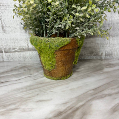 Faux Mossy Potted Greenery