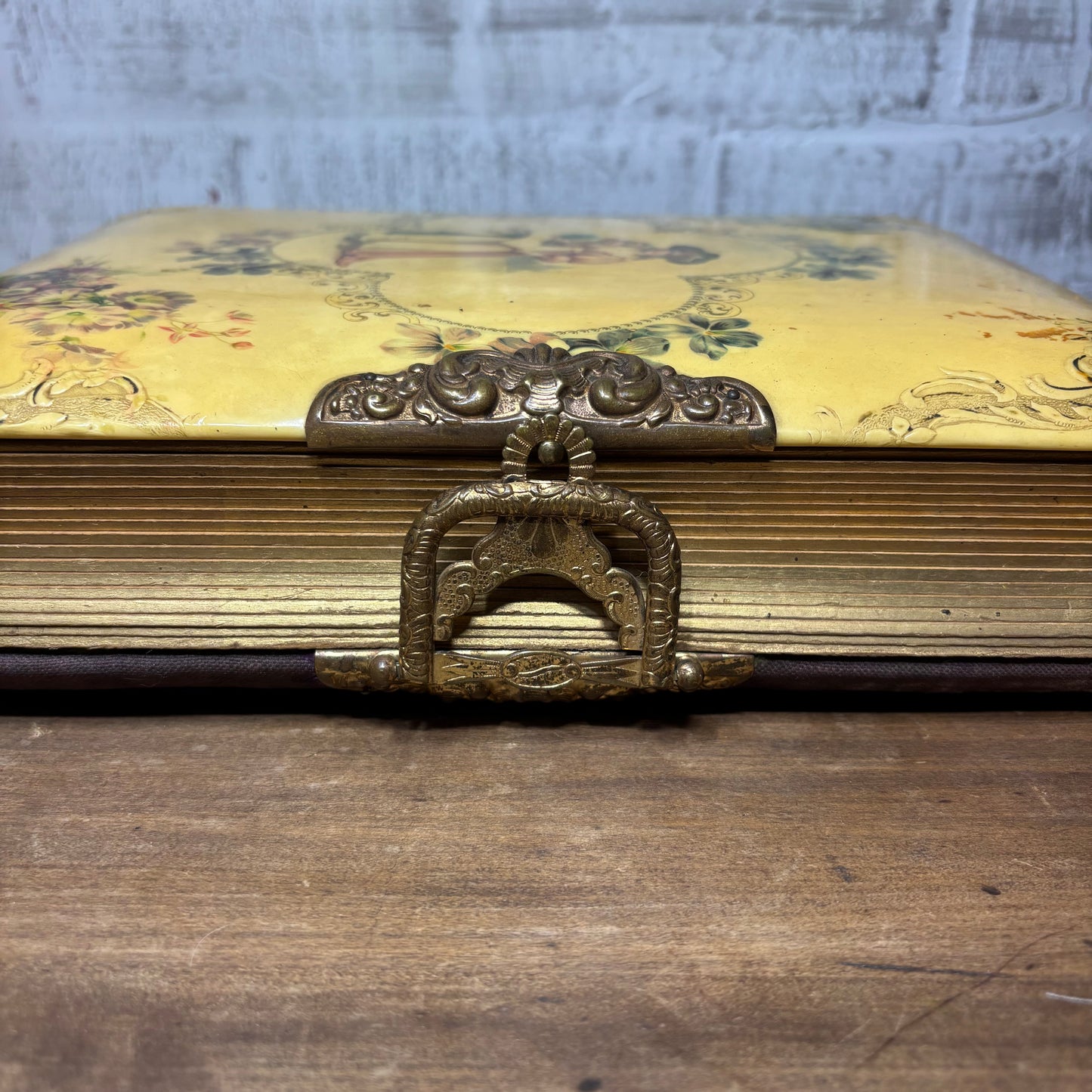 Antique Victorian Celluloid Photo Album