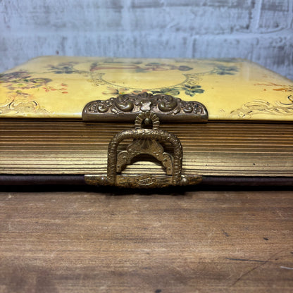 Antique Victorian Celluloid Photo Album