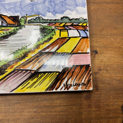 Delft Holland Windmill Hand Painted Ceramic Tiles