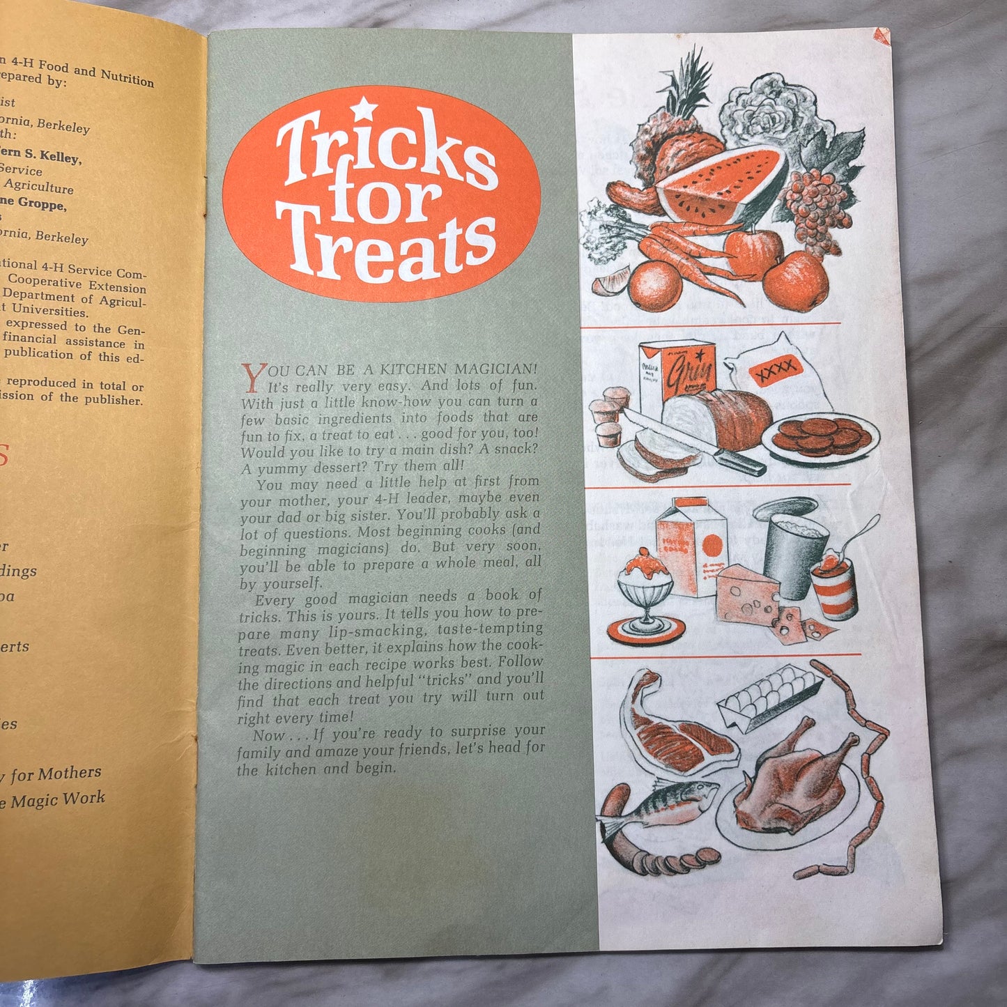 Vintage 4-H Book Tricks for Treats Halloween Cookbook Fun With Food