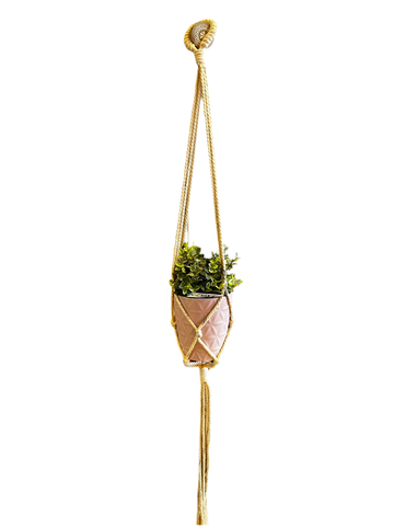 Macrame Plant Holder