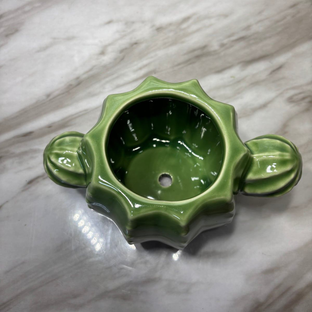 Glossy Green Cactus Ceramic Planter