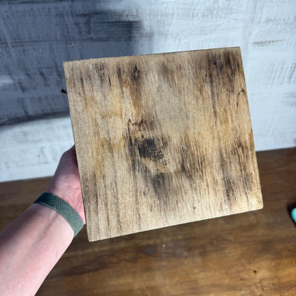 Western Log Cabin Bird House