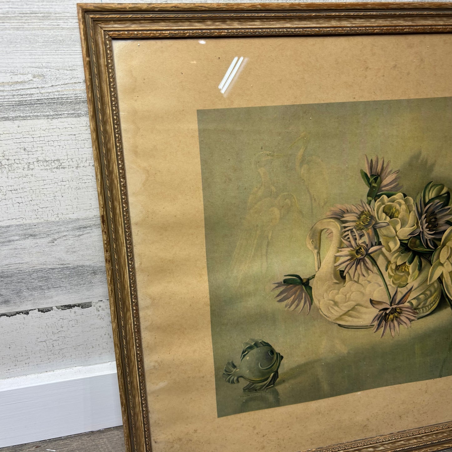 Vintage Floral & Swan Eugenia Grant Framed Print Framed Art
