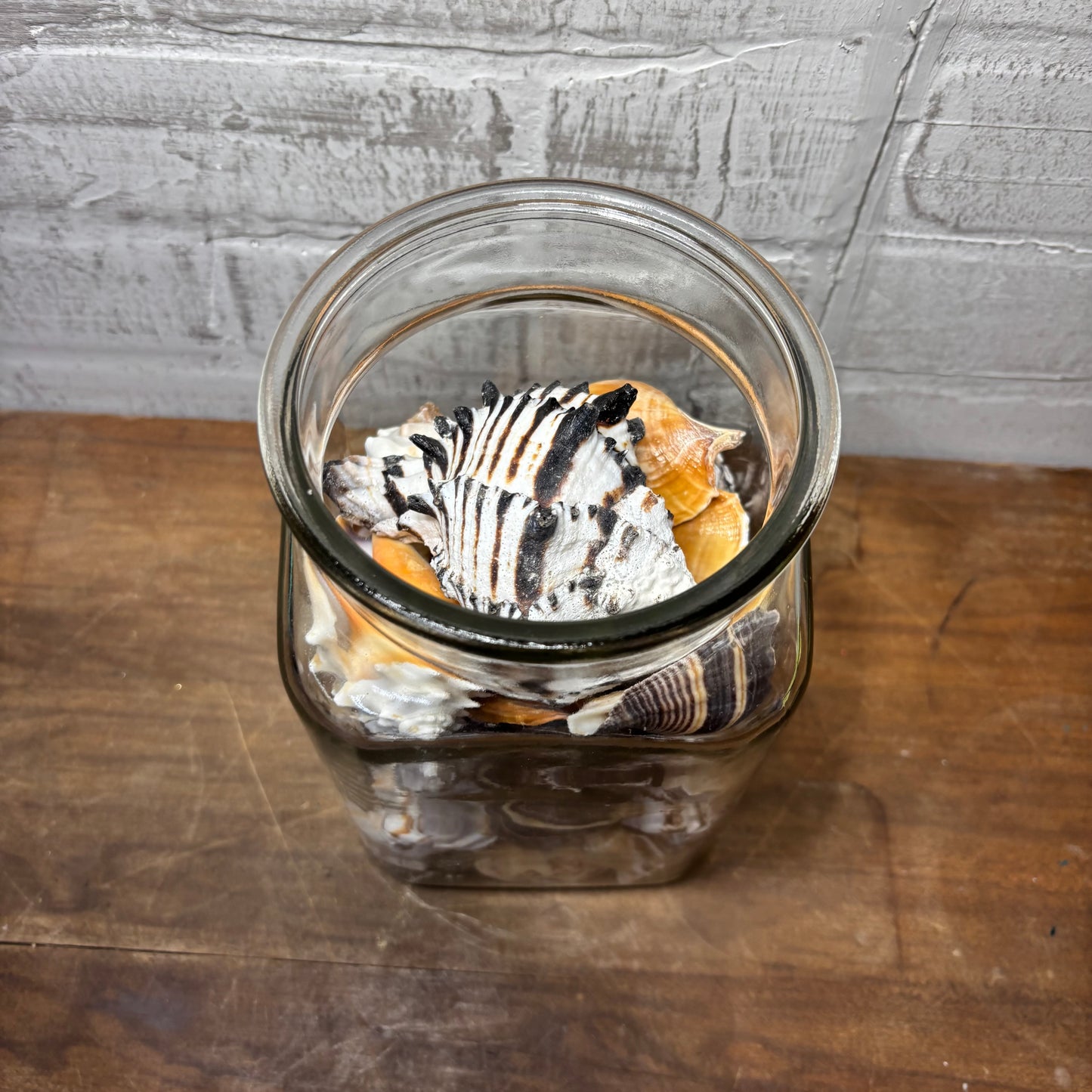 Glass Jar Full Of Seashells