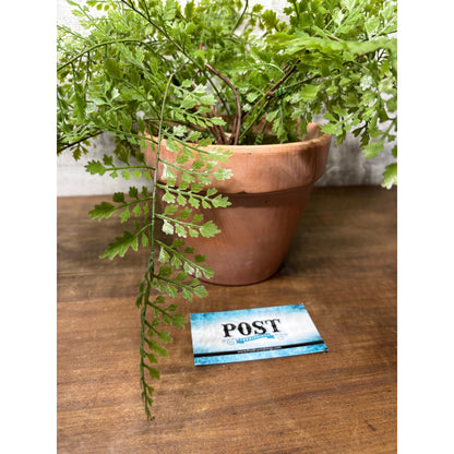 Faux Fern In Terracotta Pot