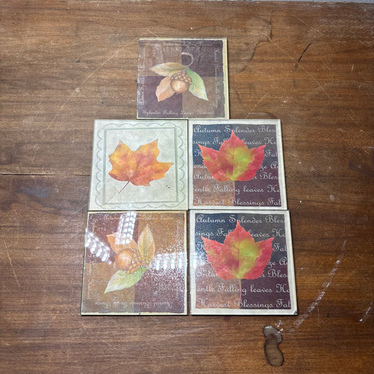 Glass Fall Leaf Coasters Set Of 5