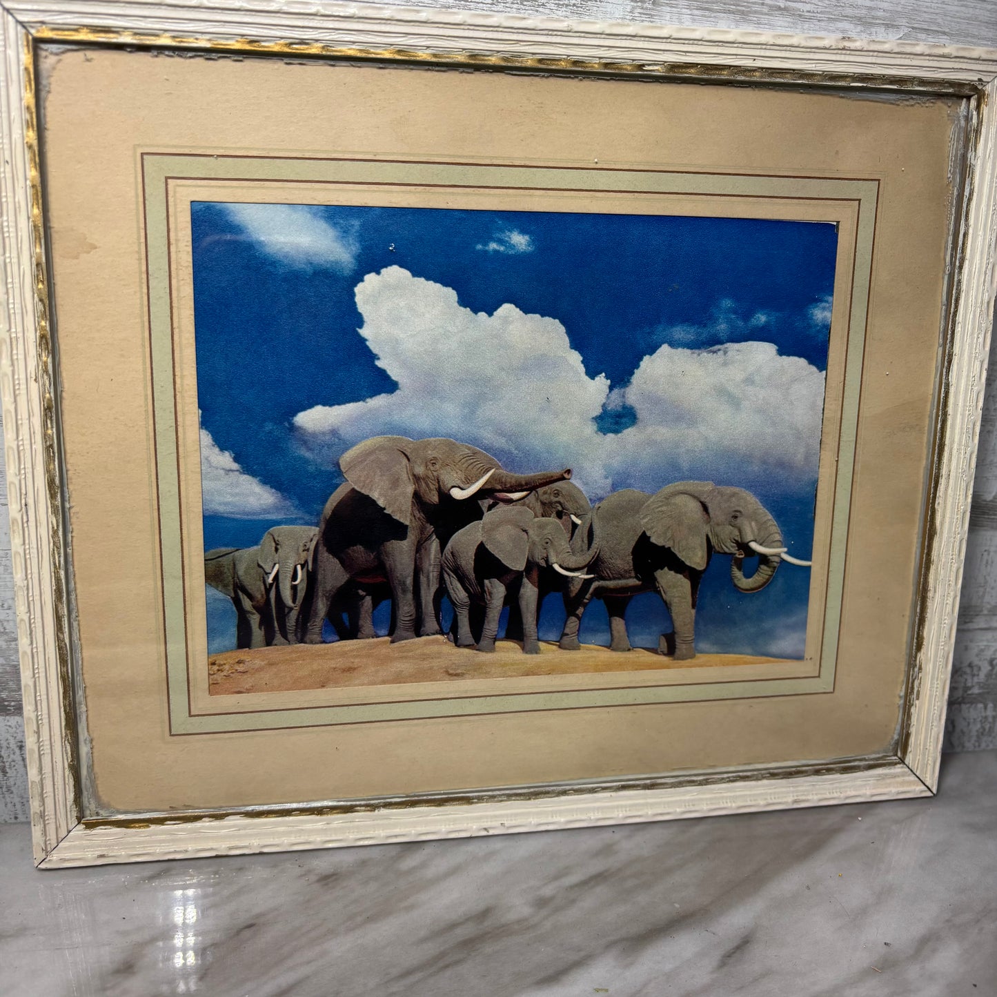 Vintage Matted Elephant Family Framed Photo