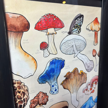 Watercolor Mushroom Canvas Print Framed Art