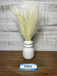 Pampas Grass White Decor