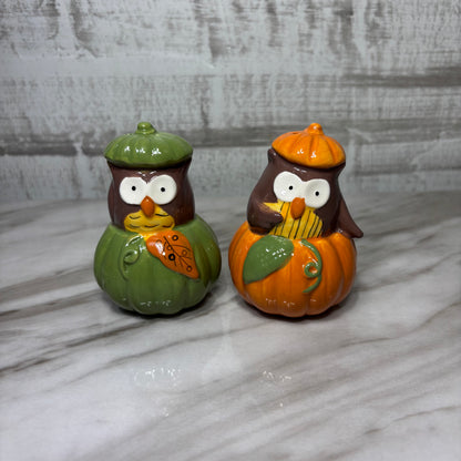 Owl In Pumpkin Salt & Pepper Shaker Set