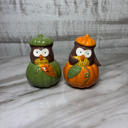 Owl In Pumpkin Salt & Pepper Shaker Set
