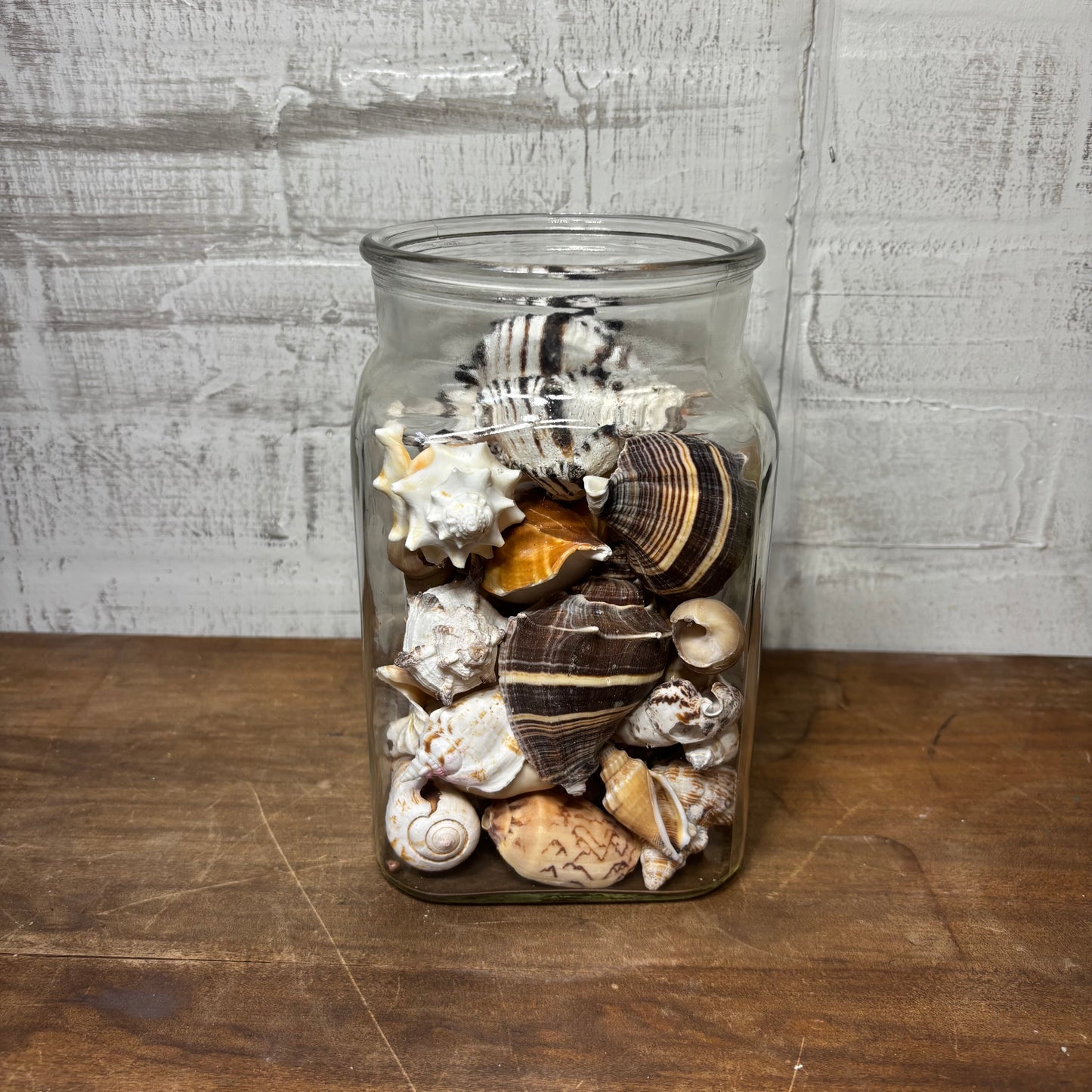Glass Jar Full Of Seashells